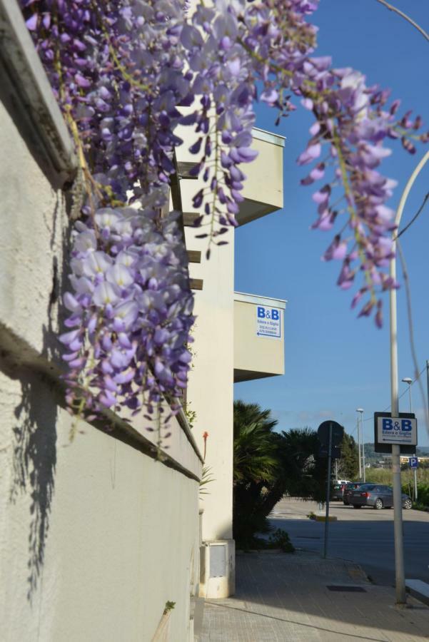 Appartamento Con Due Camere Letto Sala Cucina Bagno L'Edera Di Gavina Alguer Exterior foto